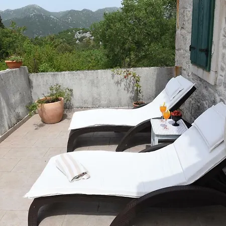 Apartment Dalmatian Romantic Traditional